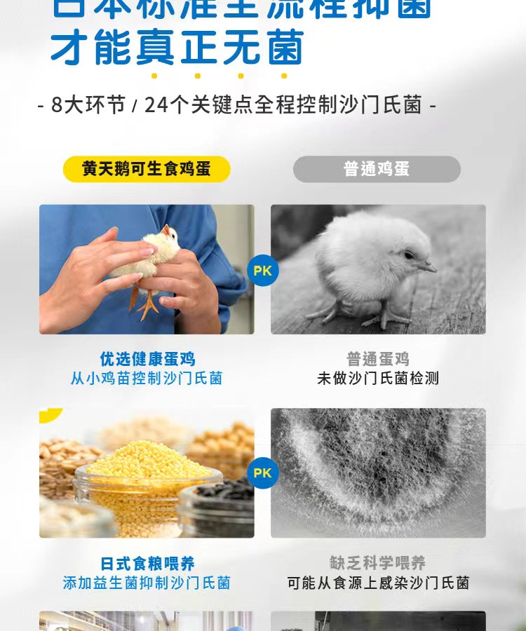 黄天鹅 可生食蛋 可生食 无菌鸡蛋 无抗生素 无沙门氏菌  精选装