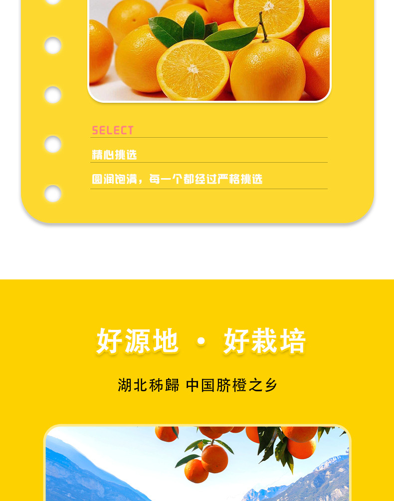 鑫勇泰 秭归伦晚脐橙现摘现发应季水果春橙5斤中果彩箱（65-75mm