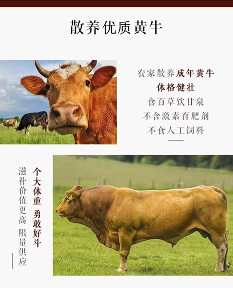 果老仙村 延边黄牛肉牛腩肉