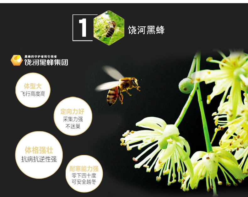 【黑龙江饶河】东北黑蜂蜂花粉百花花粉杂花粉未破壁300克包邮