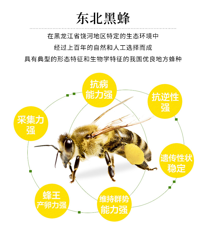 【黑龙江饶河】东北黑蜂蜂花粉百花花粉杂花粉未破壁300克包邮