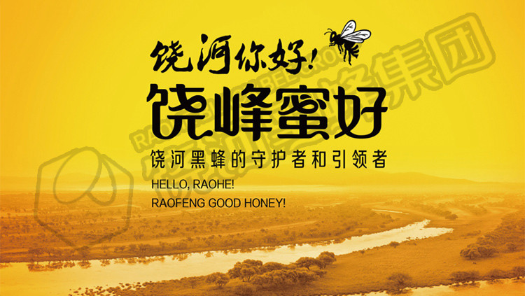 【黑龙江饶河】东北特产东北黑蜂蜂蜜百花蜜野生杂花蜜500克包邮