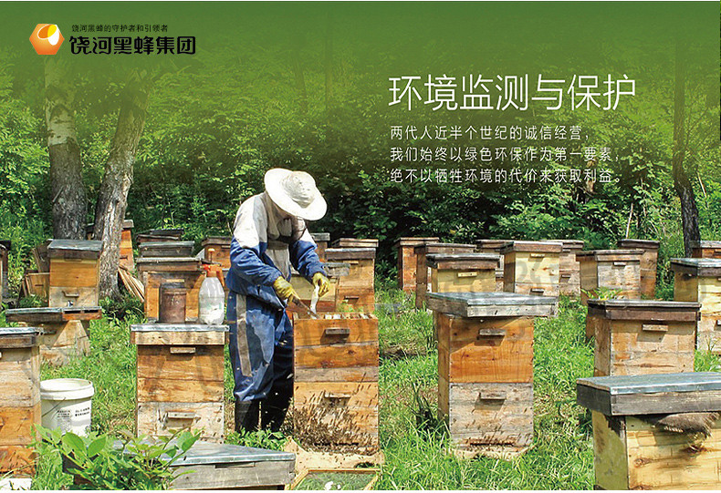 饶峰 饶河县东北黑蜂黑蜂蜜公社椴树蜜天然野生纯蜂蜜500克