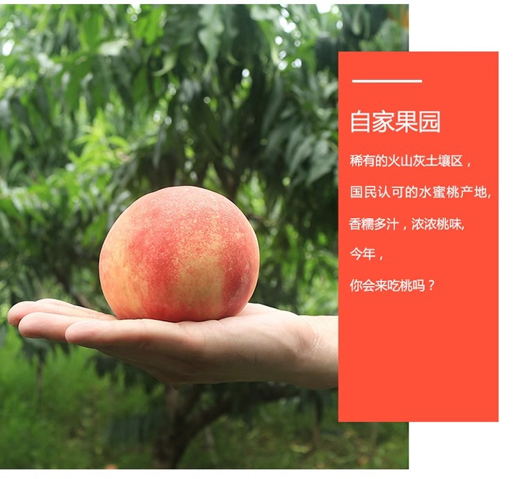 农家自产 【限玉环】无锡新鲜水蜜桃