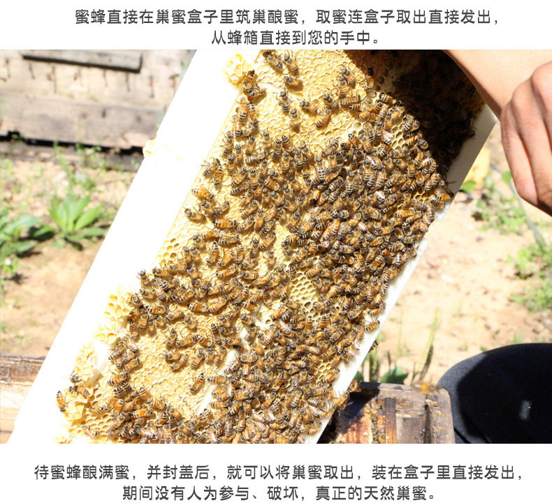 孝昌县 可以嚼着吃的蜂巢蜜500g 土蜂蜜