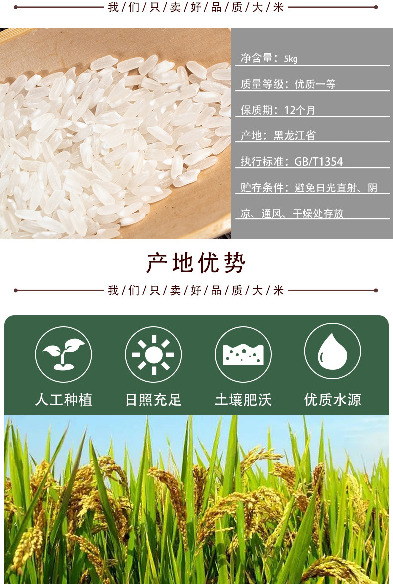 食分碗美 食分碗美五常香米10斤【精选真空】2024年新米