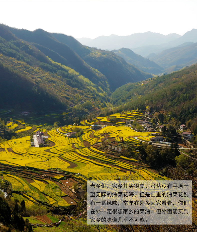 【射洪地方特色】复兴 牛啃土 纯正小榨菜籽油 非转