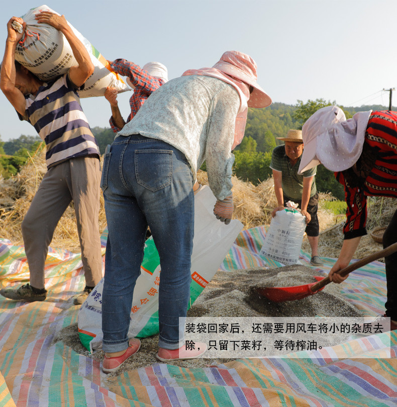 【射洪地方特色】复兴 牛啃土 纯正小榨菜籽油 非转