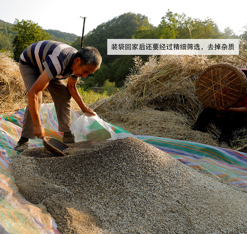 【射洪地方特色】复兴 牛啃土 纯正小榨菜籽油 非转