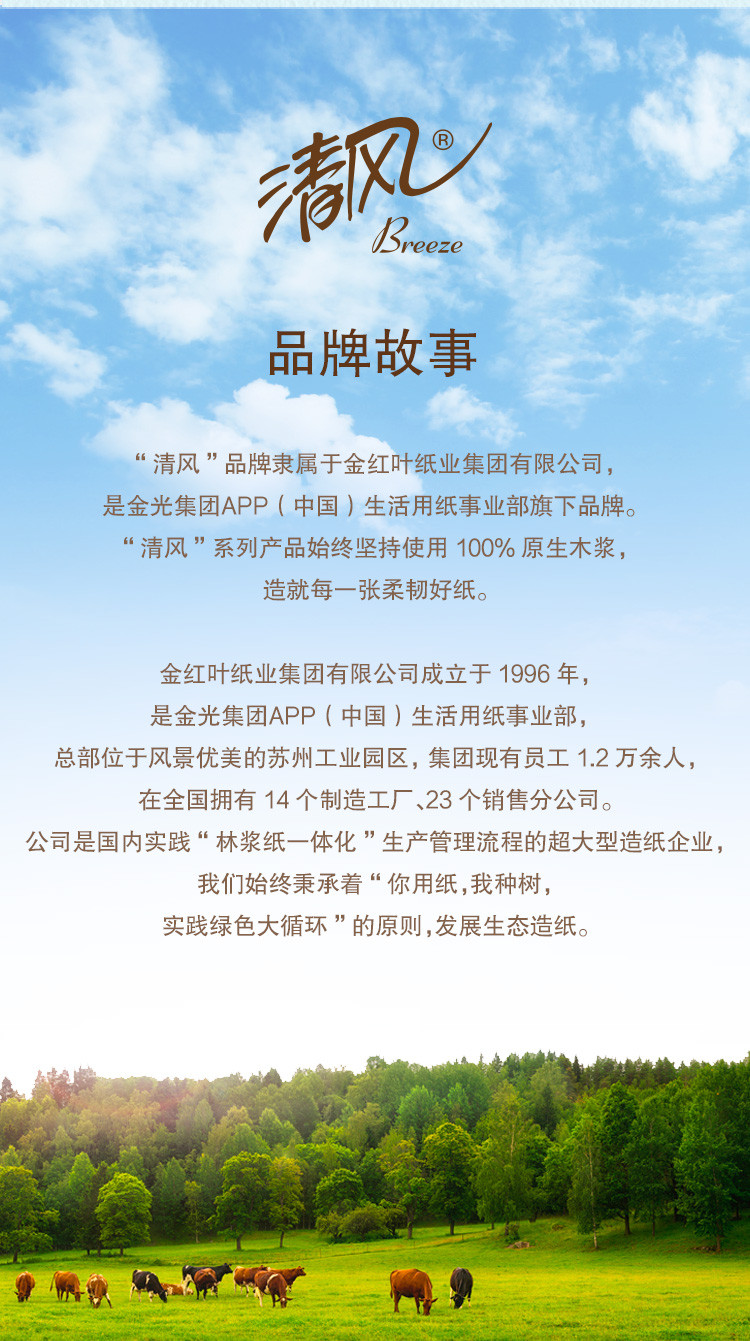 清风 B208AQ原木纯品4层140g小叶细点压花卷筒卫生24卷