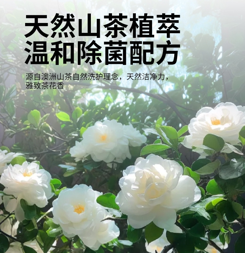 美穗吉家 山茶植萃全效洁白香氛洗衣液2kg