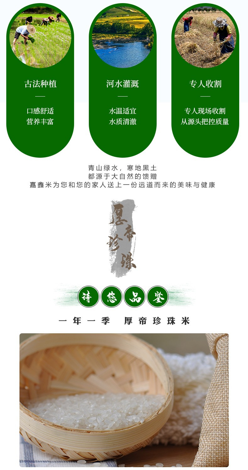 厚帝 珍珠大米