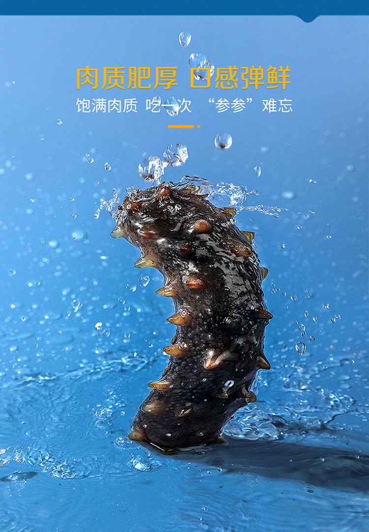 星龙港 无冰即食海参-大海传奇500g(5-7头)