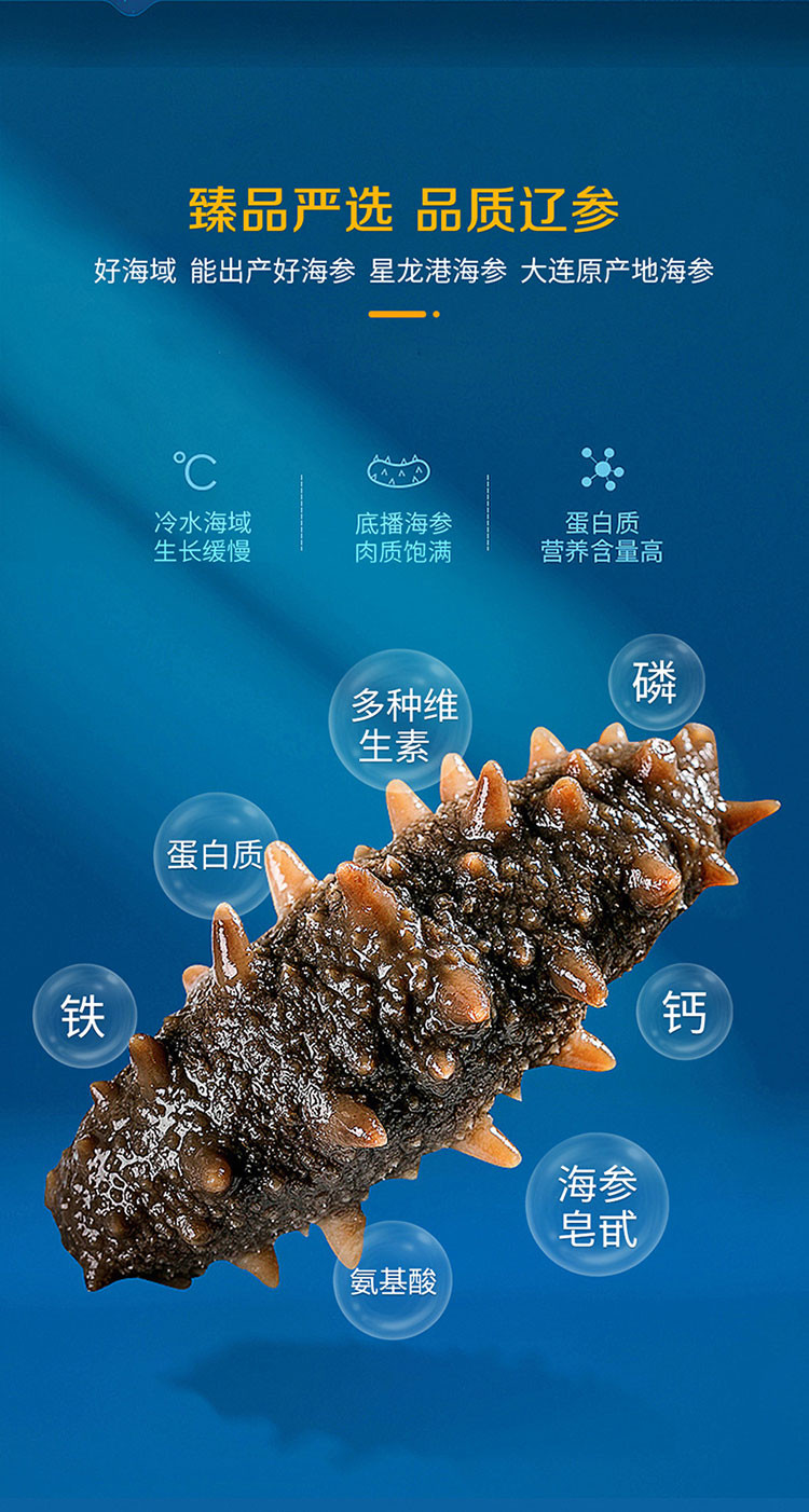 星龙港 无冰即食海参-大海传奇500g(5-7头)