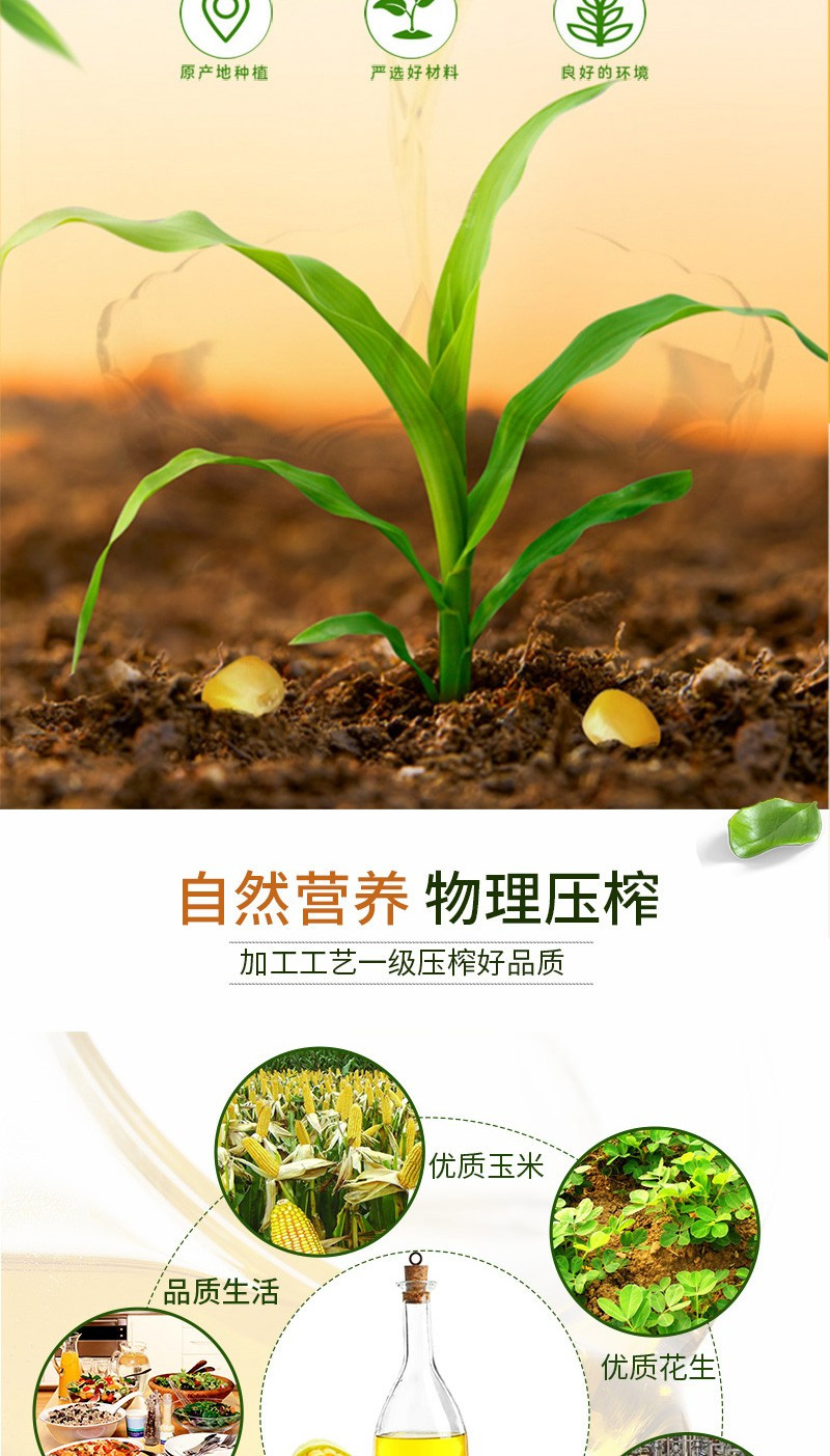 鲁王  绿色健康玉米油1.8L+压榨葵花籽油油1.8L