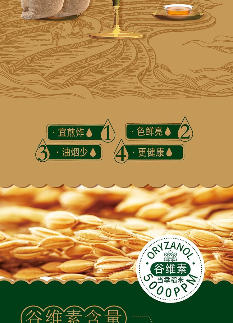 典选 稻米油 1.8L