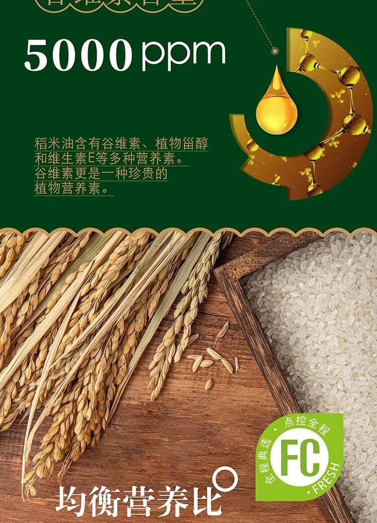 典选 稻米油 1.8L
