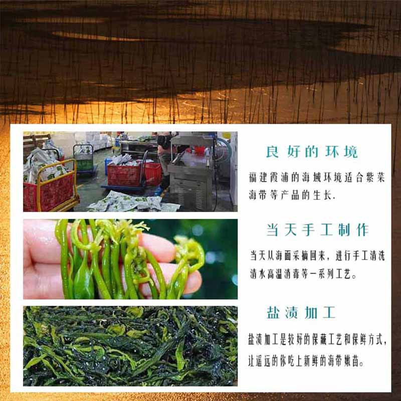 霞浦海带嫩苗500g*2包 火锅食材 凉拌 汤菜