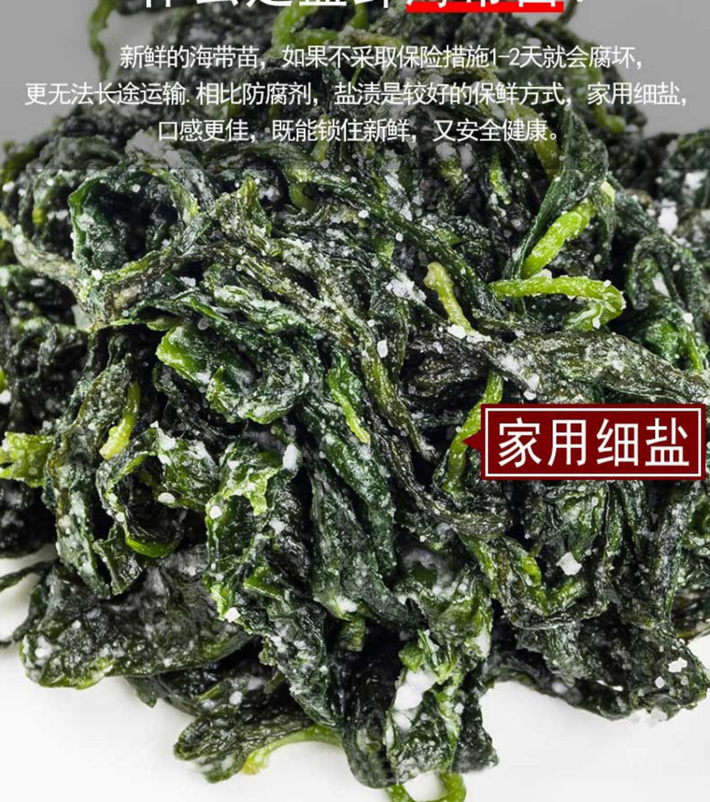 霞浦海带嫩苗500g*2包 火锅食材 凉拌 汤菜