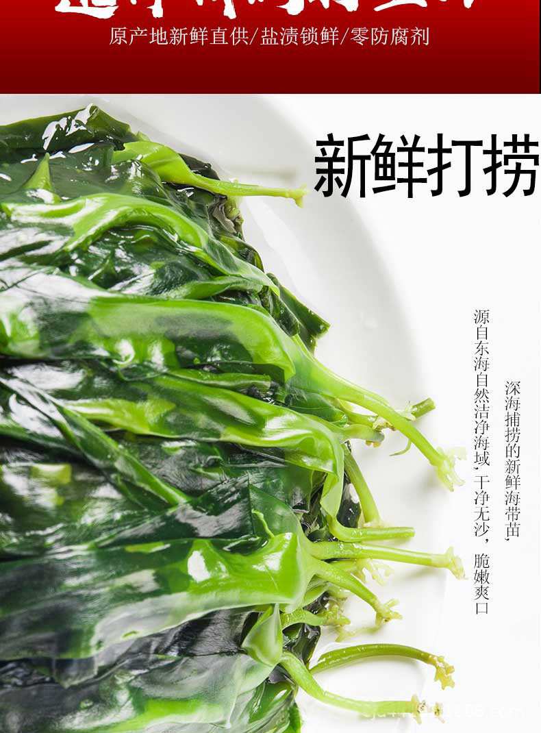 霞浦海带嫩苗500g*2包 火锅食材 凉拌 汤菜