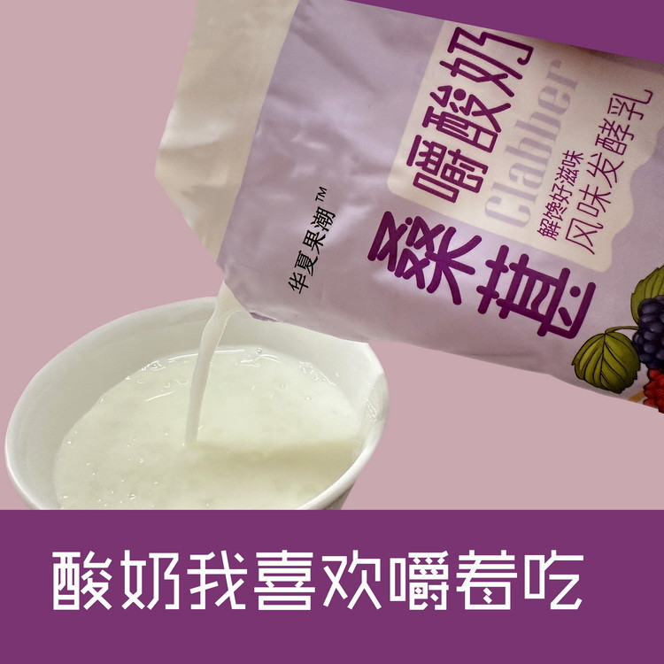 华夏果潮 嚼酸奶风味发酵乳饮料(桑葚味)180ml/袋