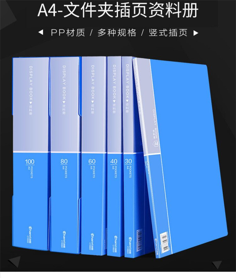 洛港  文件夹a4资料夹文件袋试卷发票文件收纳盒票据夹加厚款/个