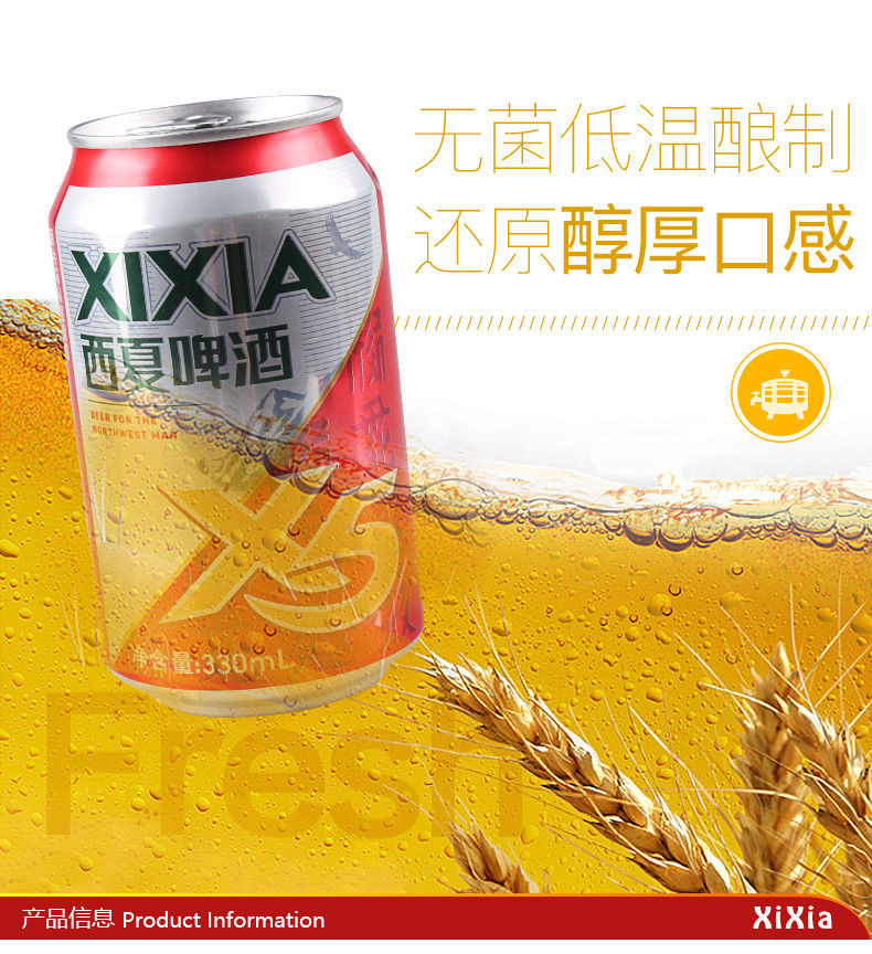 西夏X5啤酒330ml*12瓶装听装啤酒宁夏啤酒西北汉子啤酒【真源】