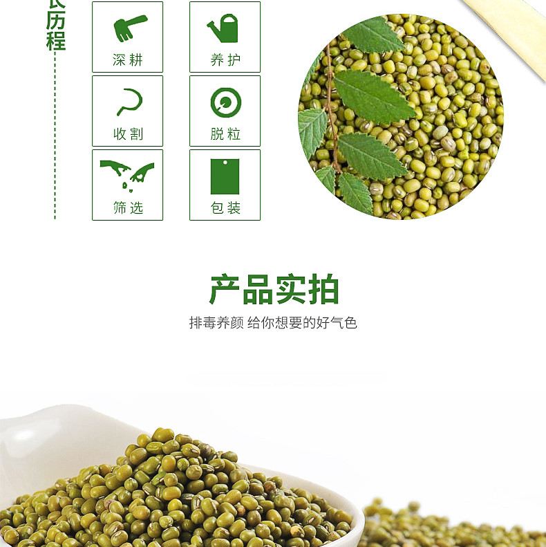 绿豆 发豆芽绿豆汤材料480g/袋