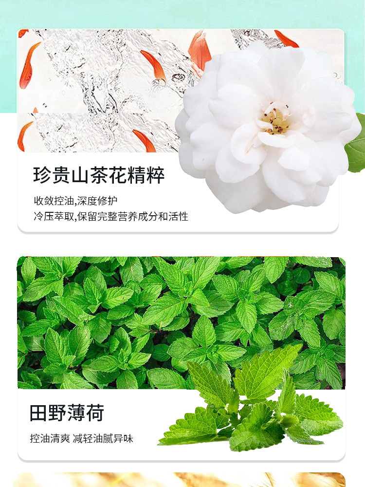 菲小主 菲小主 氨基酸&amp;植萃专研 控油蓬松洗发水500ml控油蓬松清爽