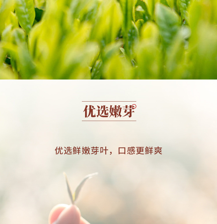 长盛川 宜昌宜红红茶养胃茶