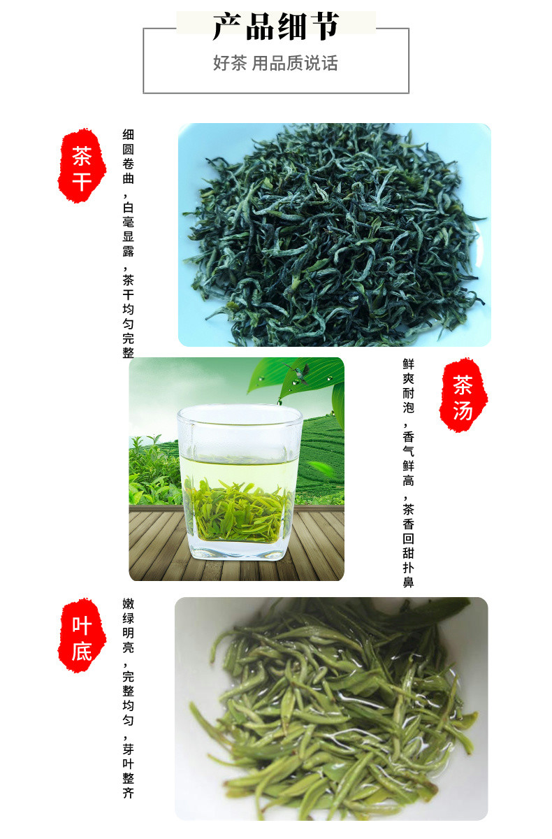 邮政农品 2024新茶汉中毛尖茶叶高山云雾绿茶勉县特产80g--250