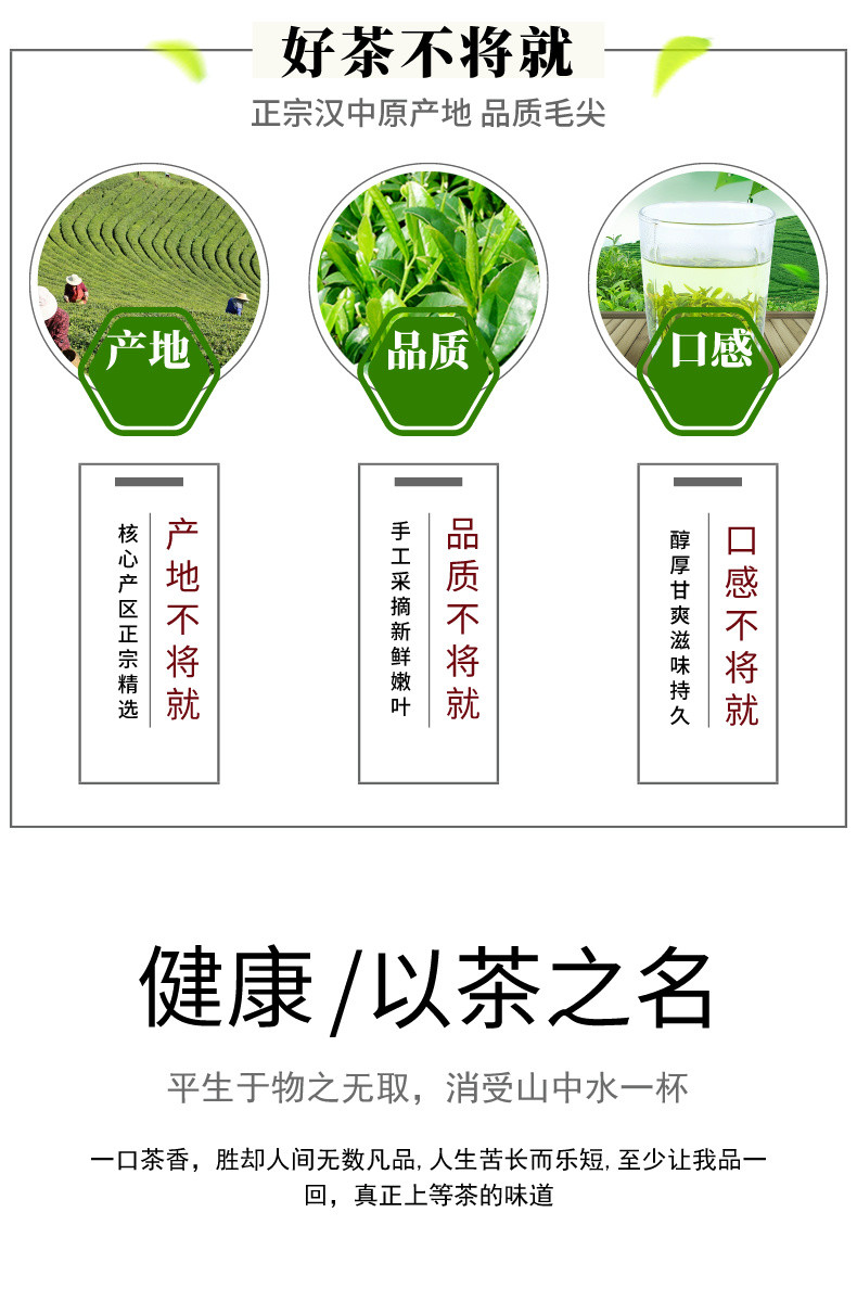 邮政农品 2024新茶汉中毛尖茶叶高山云雾绿茶勉县特产80g--250