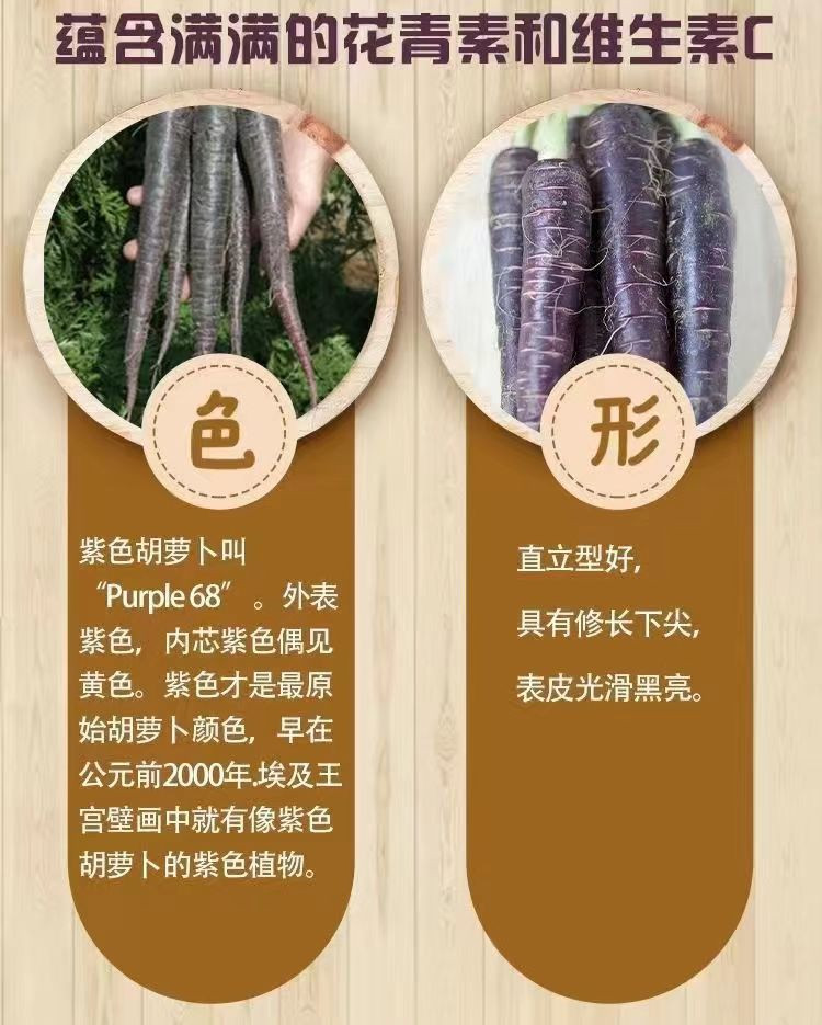 瀚牧云尘 甘肃永昌紫色胡萝卜 富含花青素 榨汁烹饪 怎么吃都有营养  国内包邮