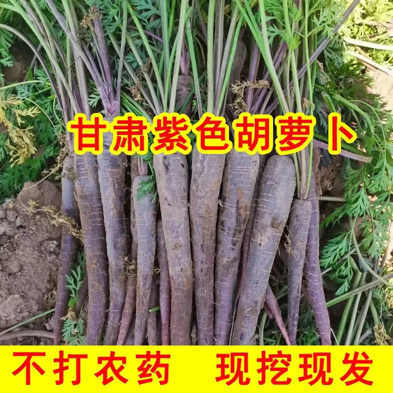 瀚牧云尘 甘肃永昌紫色胡萝卜 富含花青素 榨汁烹饪 怎么吃都有营养  国内包邮