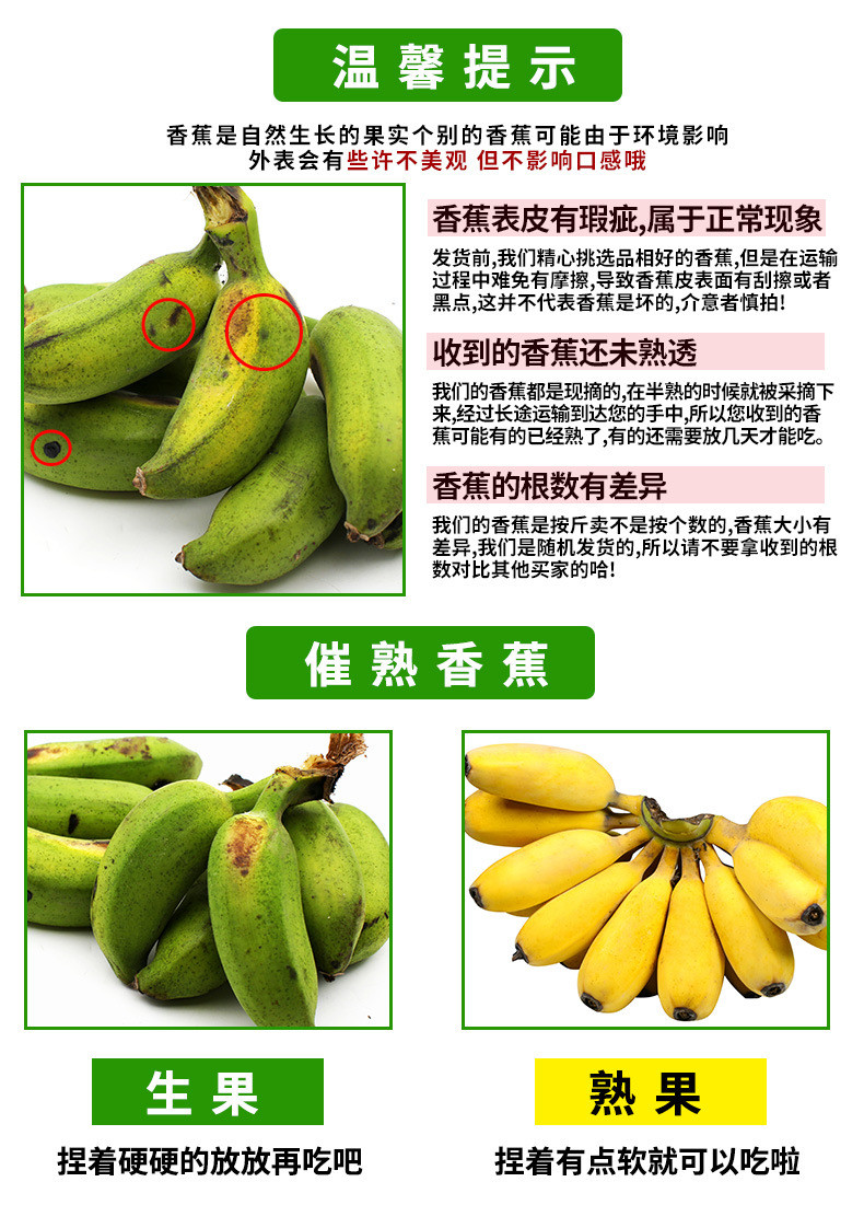 瓦豆 广西苹果蕉 当季新鲜现摘孕妇水果特产香蕉粉蕉5斤