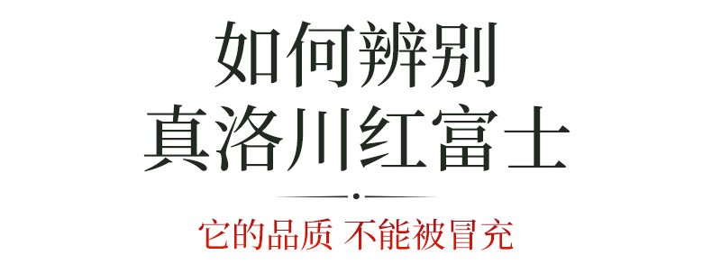 瓦豆 陕西洛川红富士苹果脆甜多汁时令新鲜孕妇水果生鲜苹果整箱