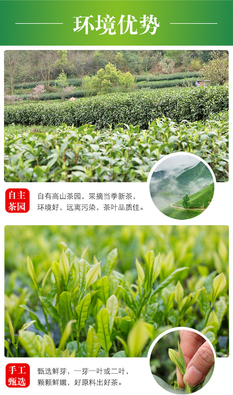 田道谷  新茶安吉珍稀白茶高山春茶绿茶鲜爽特级茶叶250g