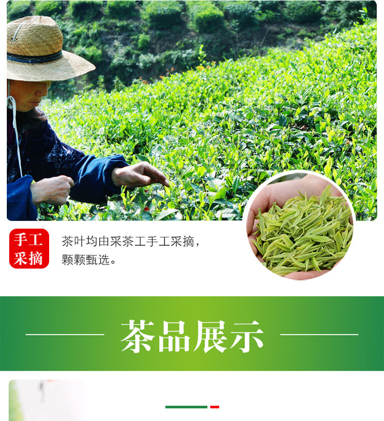 田道谷  新茶安吉珍稀白茶高山春茶绿茶鲜爽特级茶叶250g