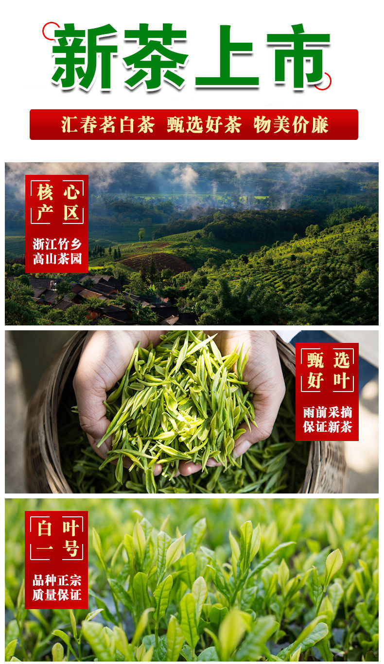 田道谷  新茶安吉珍稀白茶高山春茶绿茶鲜爽特级茶叶250g