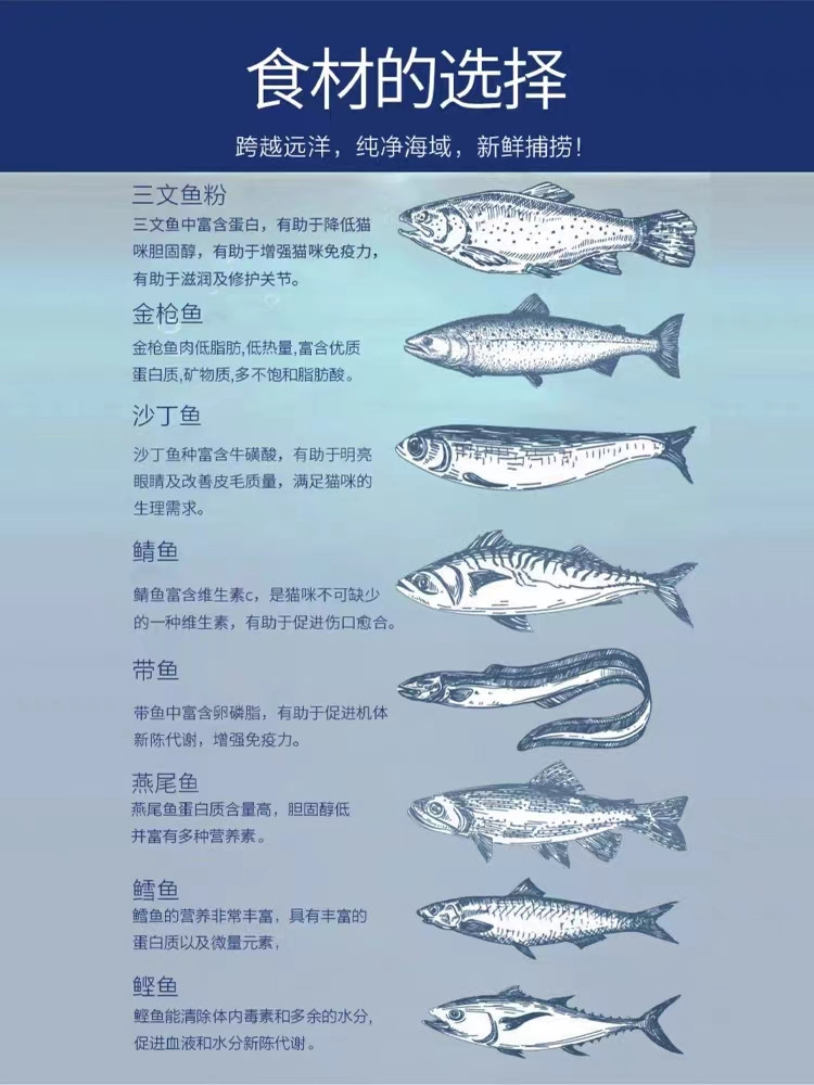 小虎雀 贵族全期猫粮成幼猫流浪猫粮八种鱼配方补充营养室内全价猫粮1K