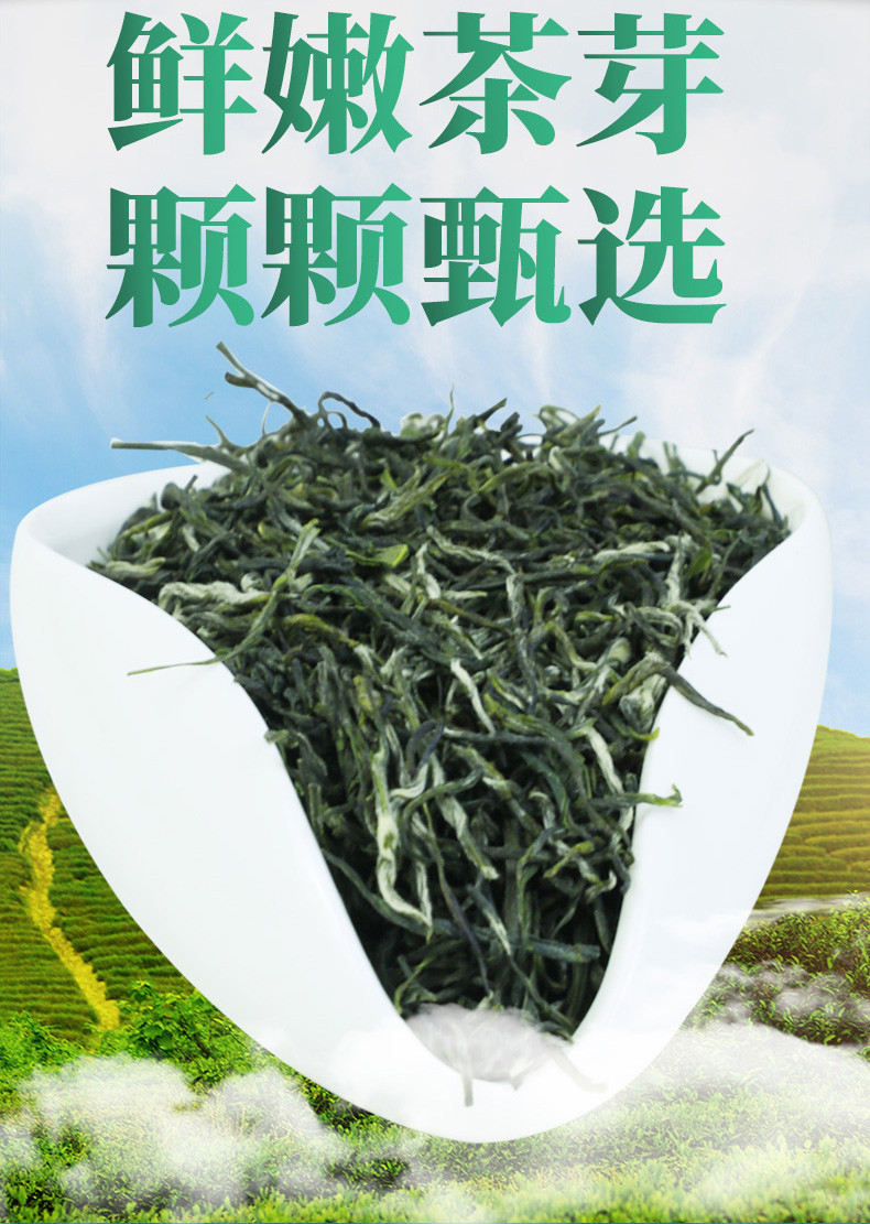 2023年春茶叶明前茶湖北绿茶五峰毛尖雨品特级绿茶250g