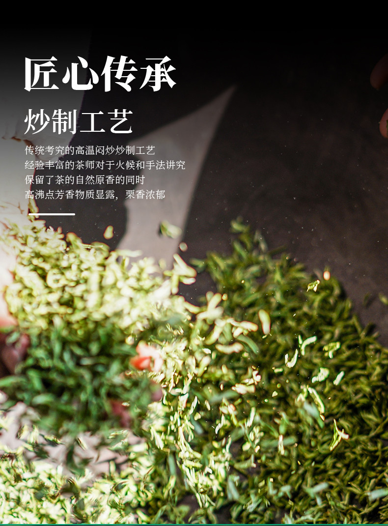 夷茗 2024新茶高山毛尖高山云雾绿茶春茶湖北宜昌茶叶·霜品