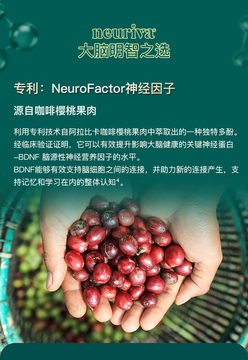 美国原装neuriva脑动力胶囊  补脑记忆力磷脂酰丝氨酸