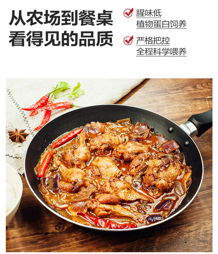 正大/CP 鸡肉单冻鸡翅根500g*4袋冷冻生鸡肉翅根小鸡腿鲜嫩多汁鸡肉 500g*4袋