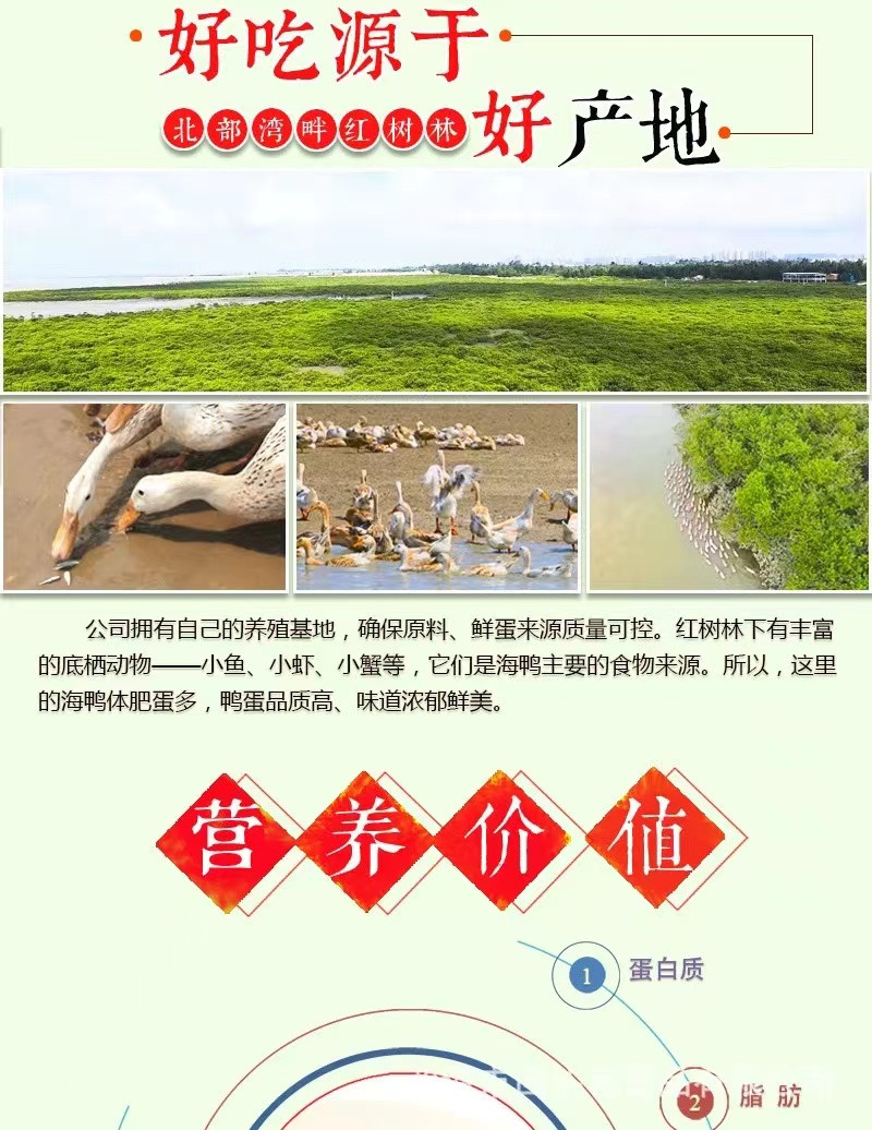 广西烤海鸭蛋流油咸鸭蛋70g*6枚