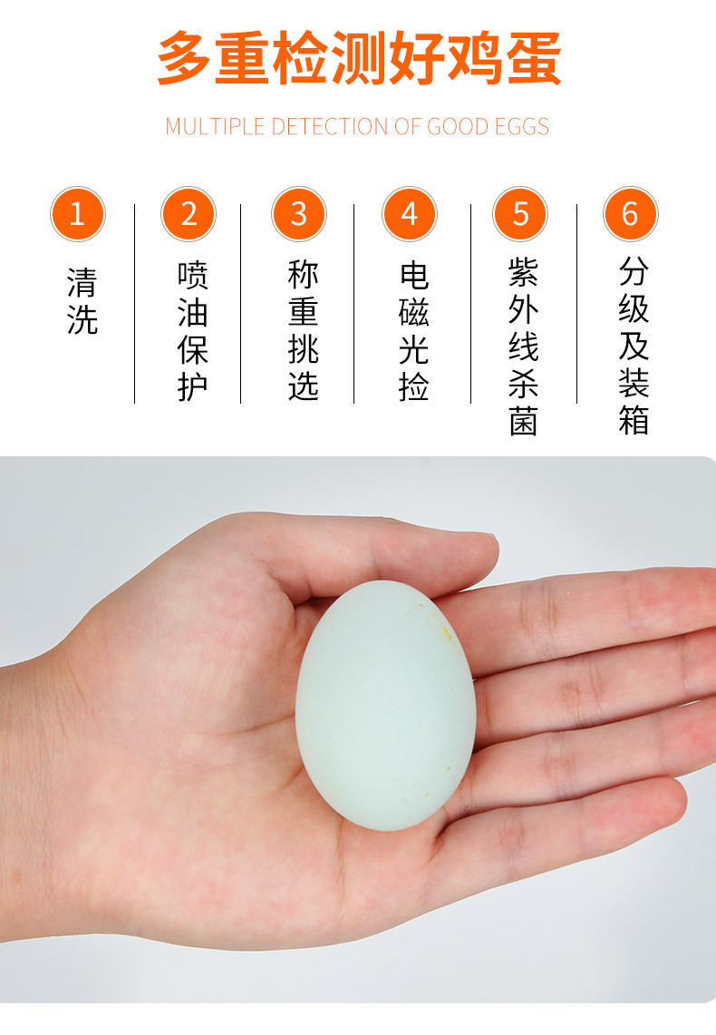 农家自产 乌鸡蛋绿壳蛋10枚【精品】
