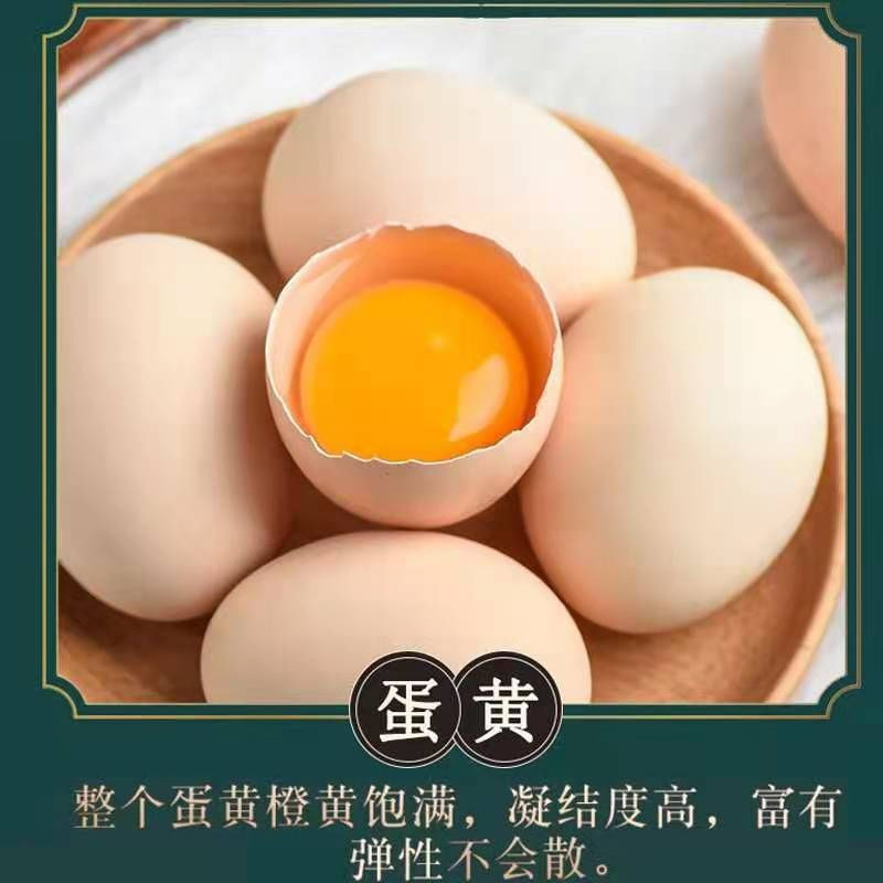 农家自产 土鸡蛋乌鸡蛋混合装20枚【精品】