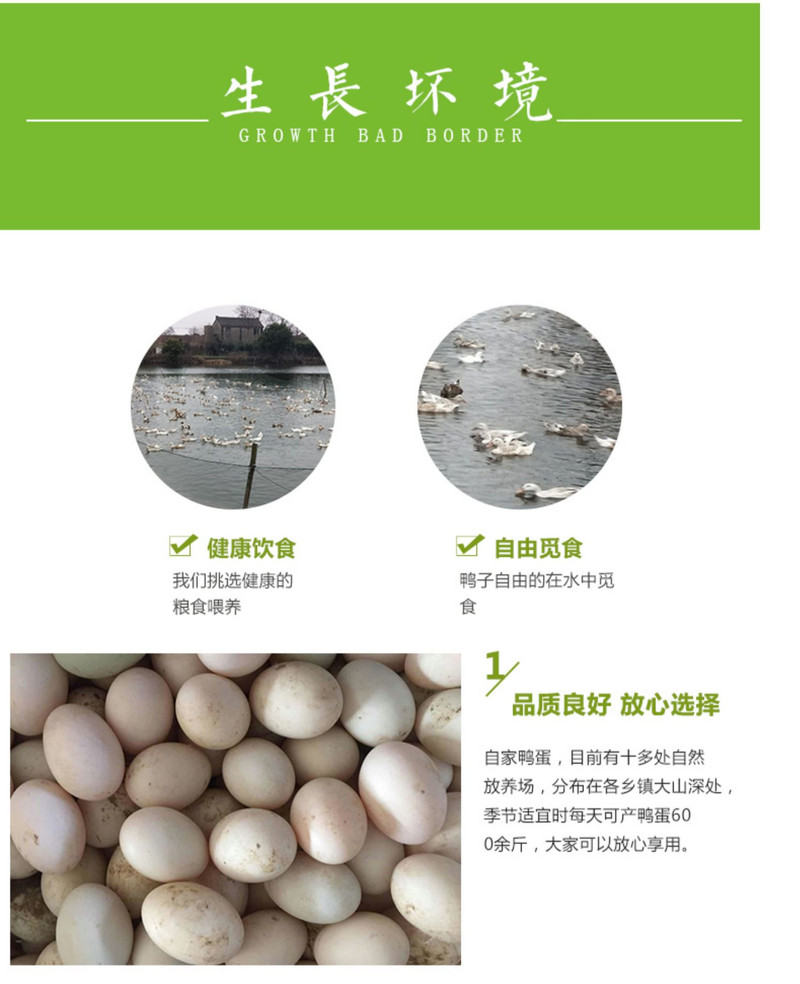 农家自产 新鲜生鸭蛋农家散养土鸭蛋生态笨鸭蛋约60g/枚