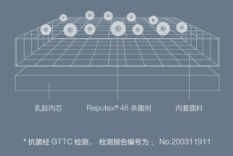 8H天然乳胶护椎腰靠plus KR