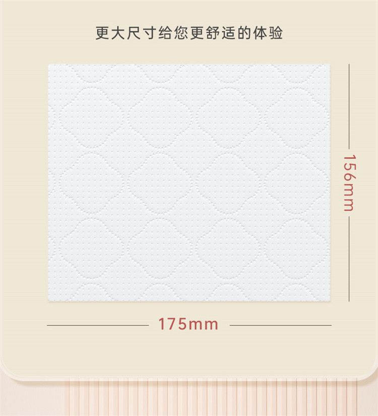  蓝漂(Lampure) LP-45855 白色气垫挂式抽纸